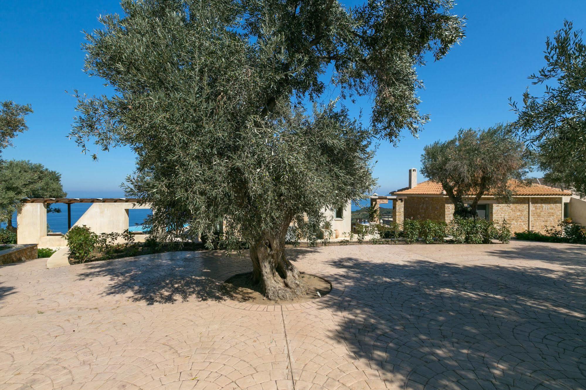 Olivia'S Villas Of Luxury Kalivia  Extérieur photo